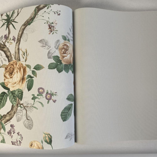 Andrea Rossi Cavolli 54420-9