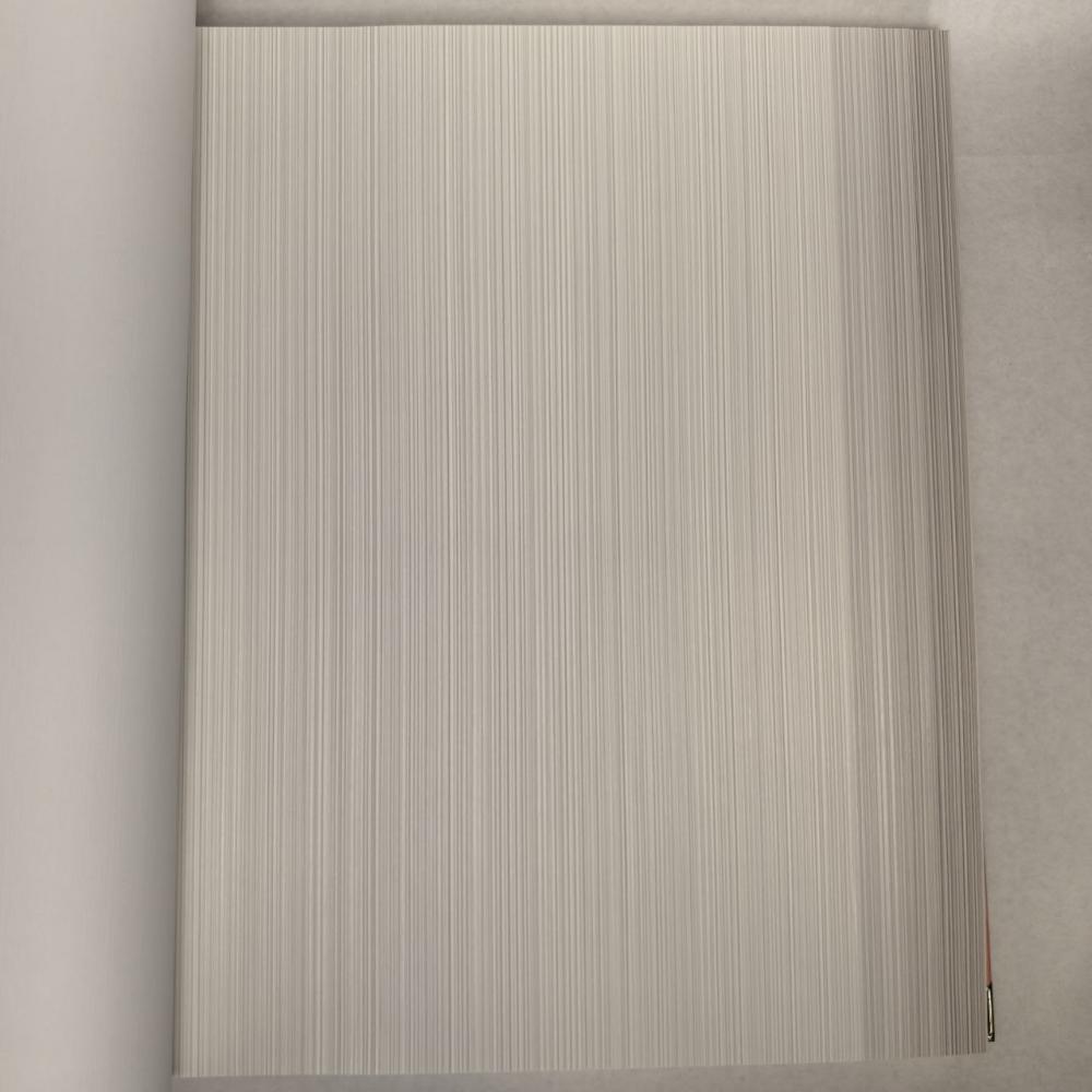 Andrea Rossi Berggi 54447-2 Andrea Rossi Berggi 54447-2