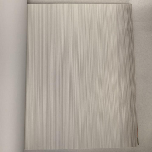 Andrea Rossi Berggi 54447-2 Andrea Rossi Berggi 54447-2