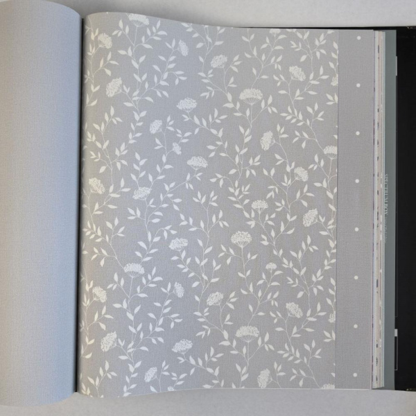 Andrea Rossi Spectrum Box 54456-5