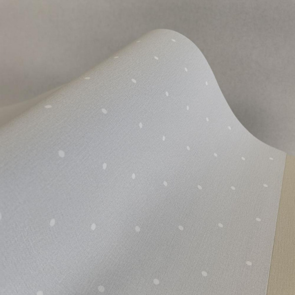 Andrea Rossi Spectrum Box 54454-8